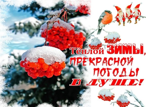 Хорошего зимнего дня и здоровья