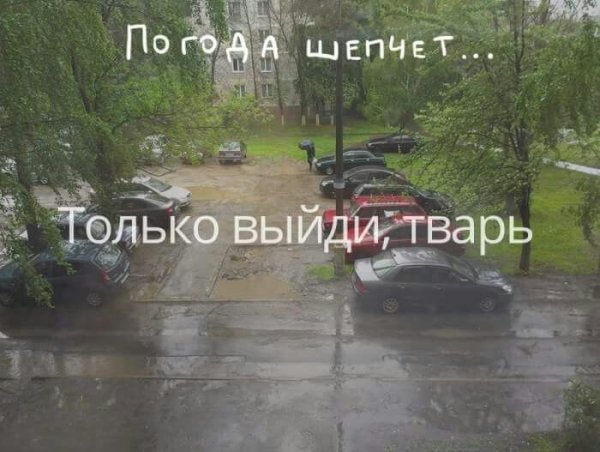 Погода шепчет прикол