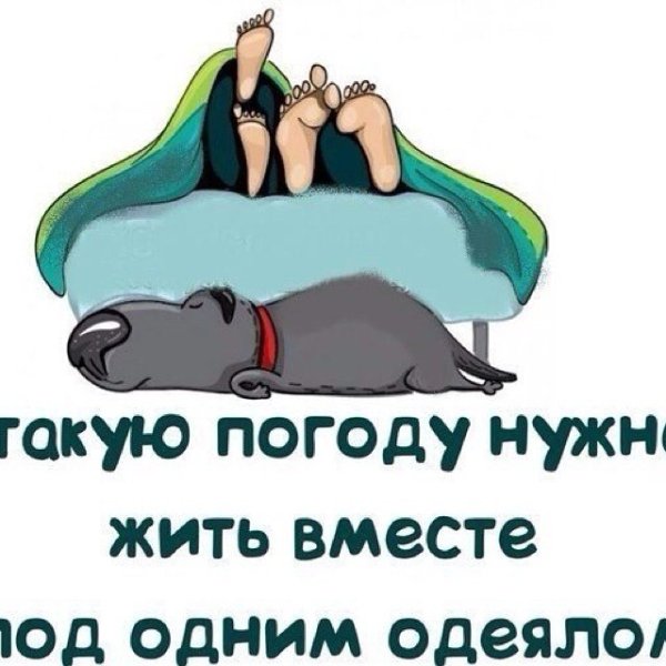 Холод сближает