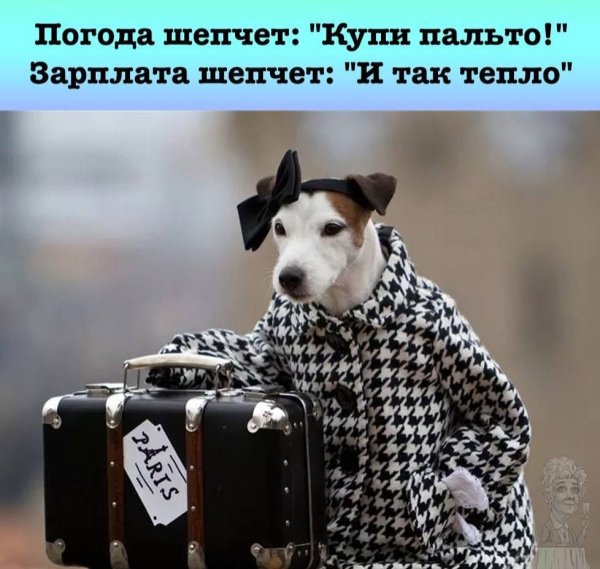 Цитаты про пальто