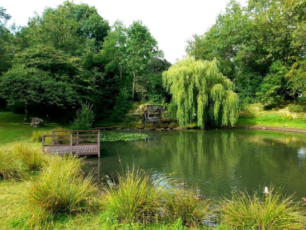 Парк с прудом