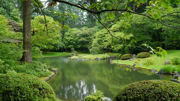 Канада парки пруд