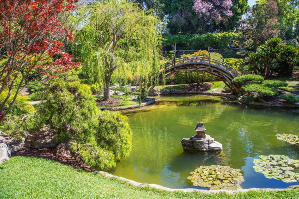 Сан Марино США японский сад