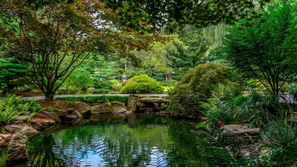 Красивый сад с прудом