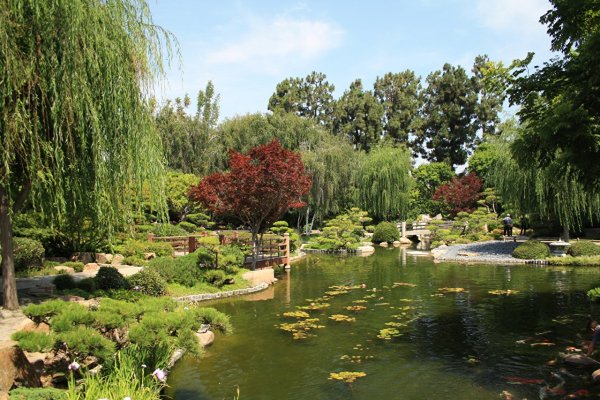 Японский сад Эрл Бернс Миллер