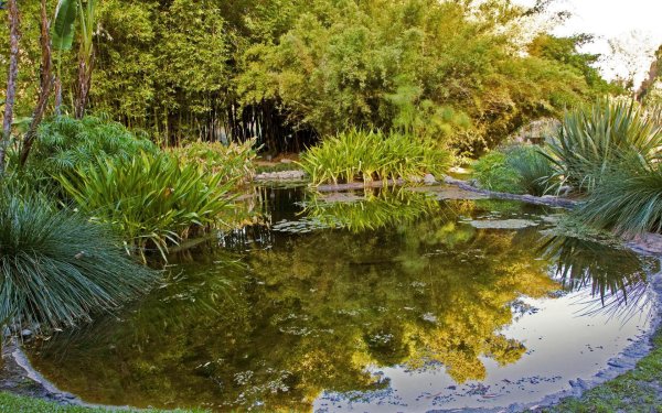 Калифорния Ботанический сад Сан-Марино