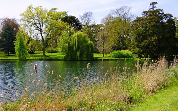 Измайловский парк пруд