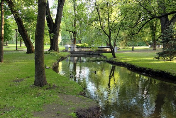 Парк возле Беляево