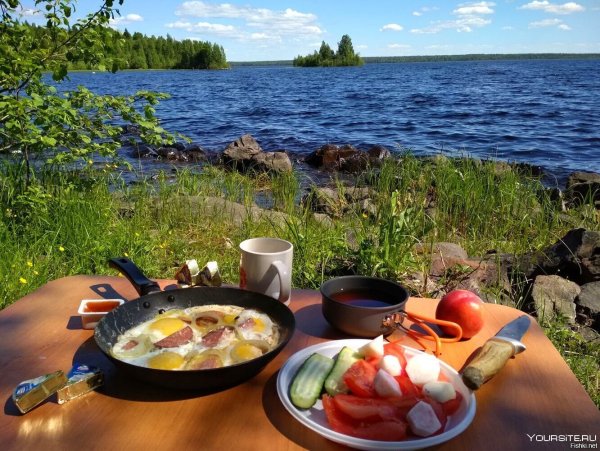 Обед на природе
