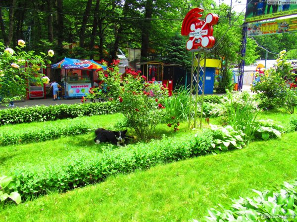 Город Ставрополь парк Победы