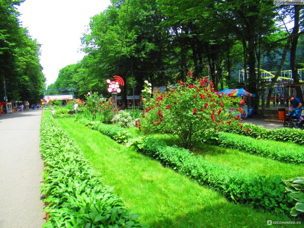 Парк парк Победы Ставрополь