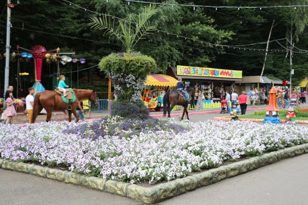 Город Ставрополь парк Победы