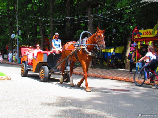 Парк Победы Ставрополь площадь