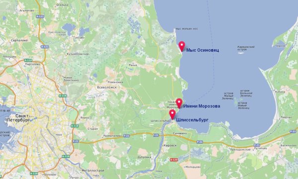 Мыс Осиновец Ленинградская область