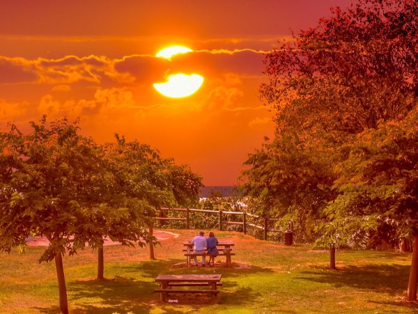 Закат в парке