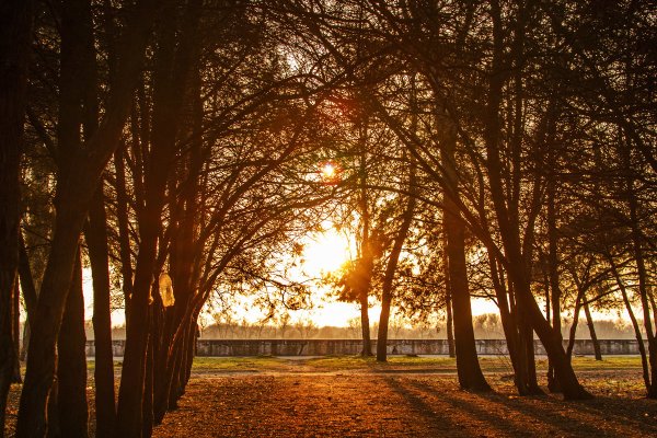 Закат в парке