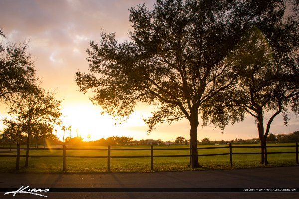 Фон парк закат