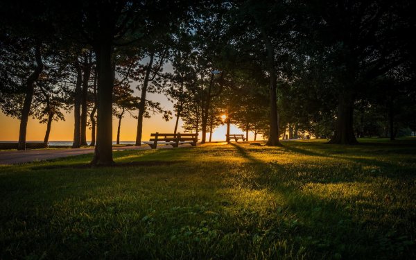 Летний вечер в парке