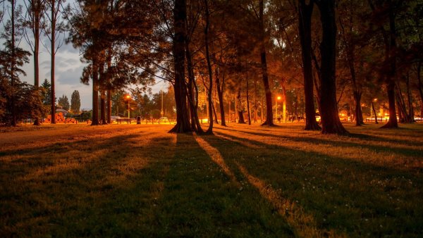 Осенний вечер