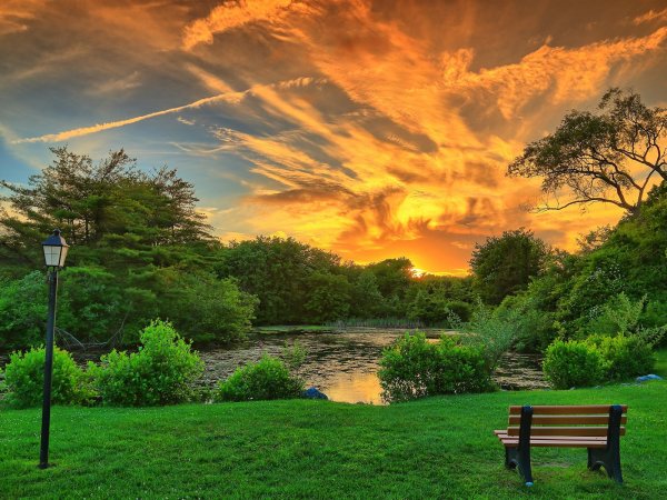 Пейзаж парк лето