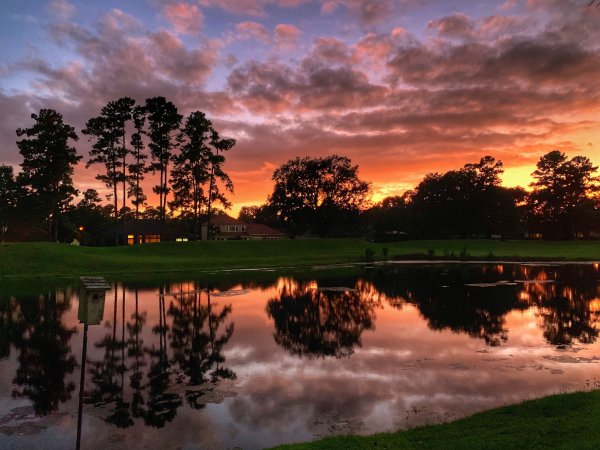 Парк Кузьминки на закате