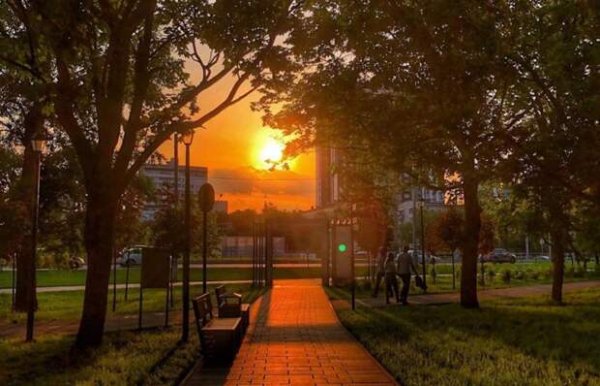 Летний Вечерний парк