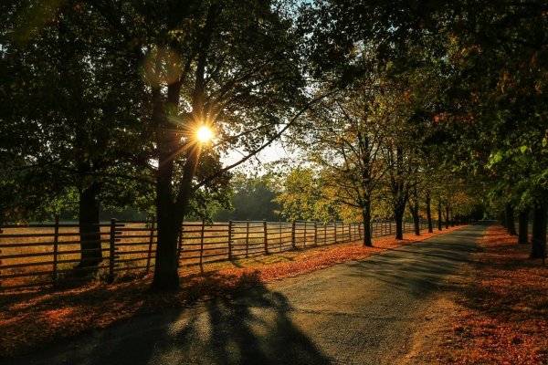 Закат в парке