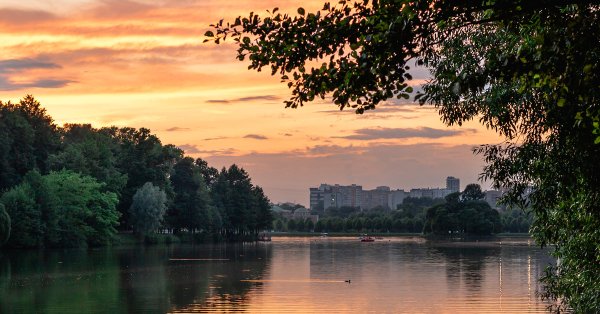 Царицыно природа