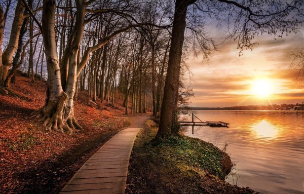 Осень парк закат