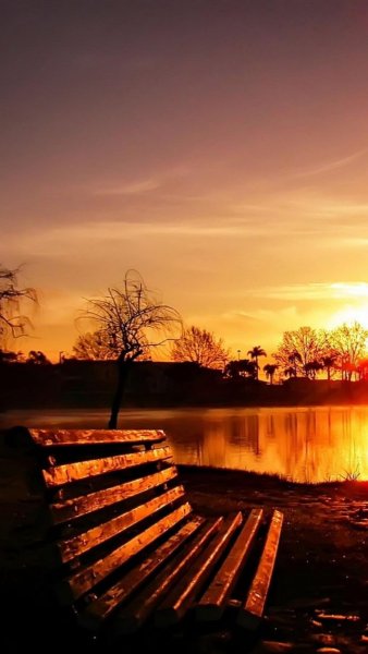 Закат в парке