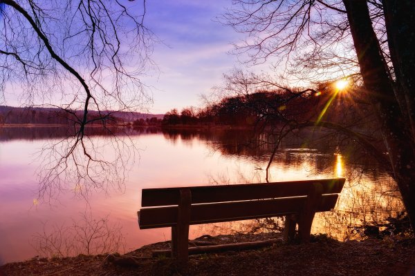 Скамейка на берегу реки