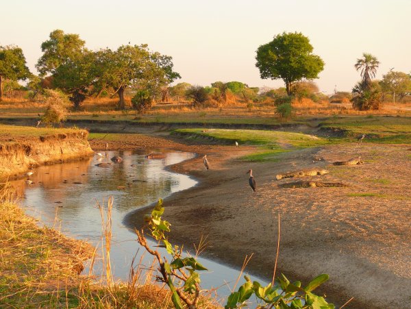 Национальный парк Крюгера река Лимпопо