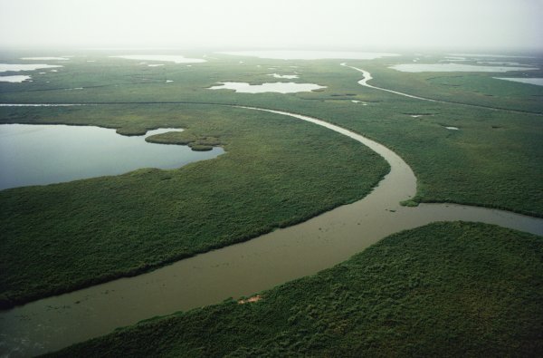 Нил узунлиги