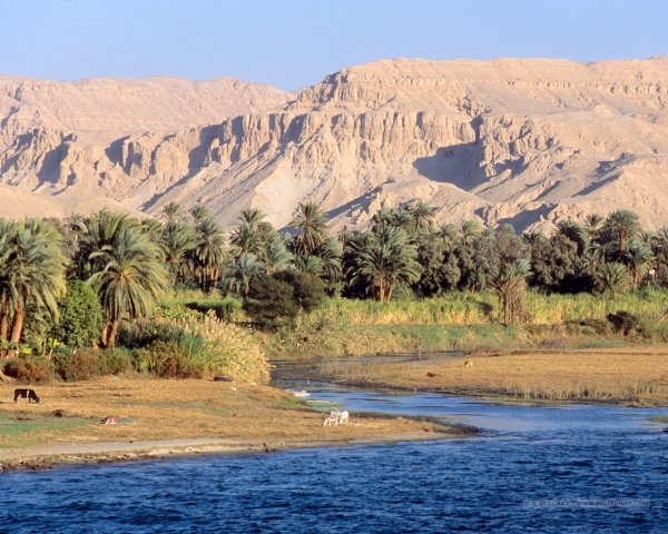 Египет природа Нил