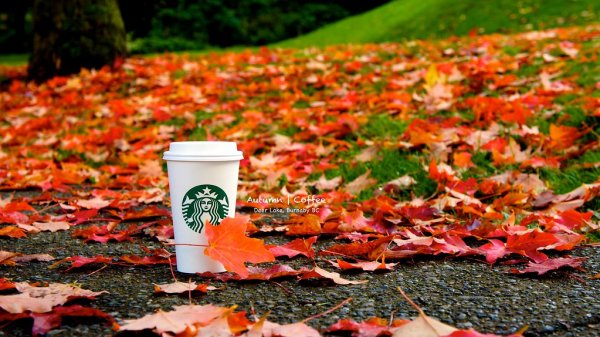 Осенний стаканчик кофе