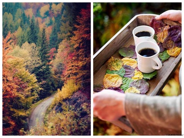 Осень кофе