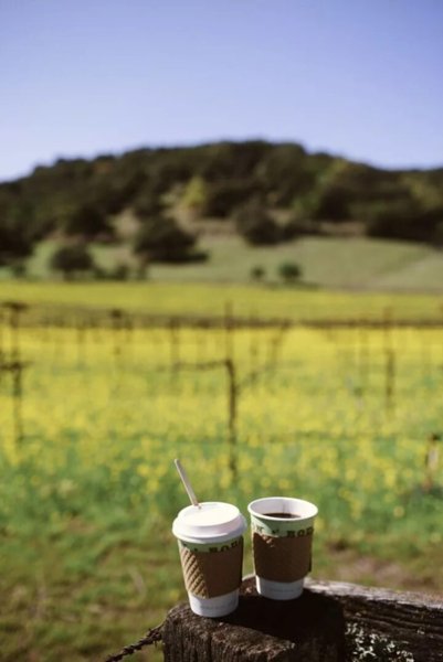 Кофе летом на природе