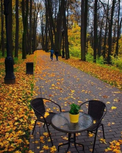 Царицыно парк лавочки