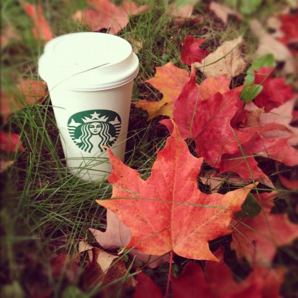 Осенний кофе Старбакс