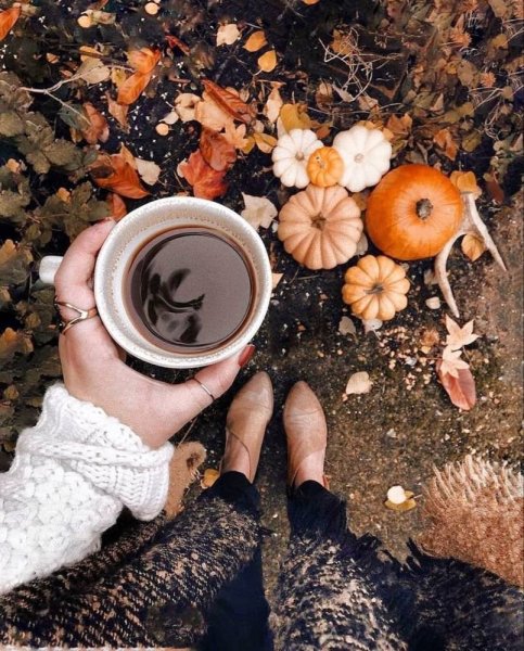 Осень чашка в руках
