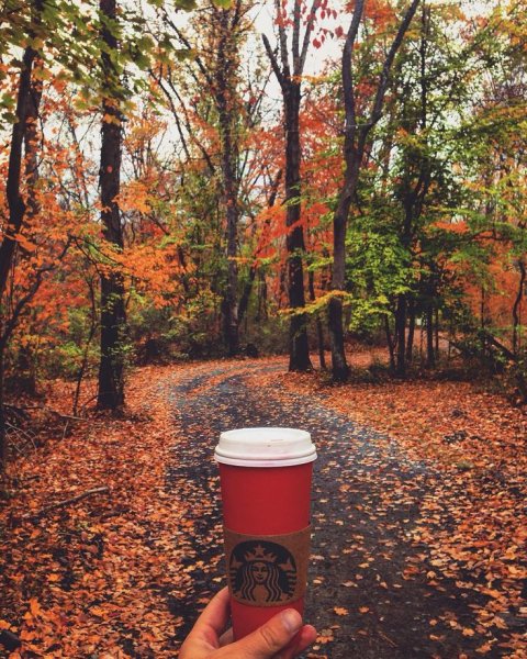 Кофе в стаканчике осенью