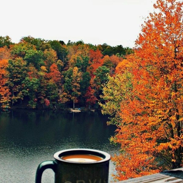 Утро кофе осень