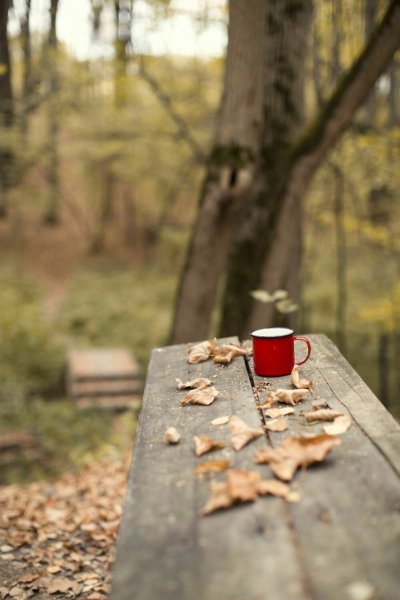 Осенний кофе природа