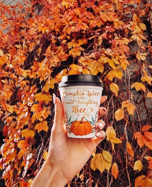 Осень кофе прогулка