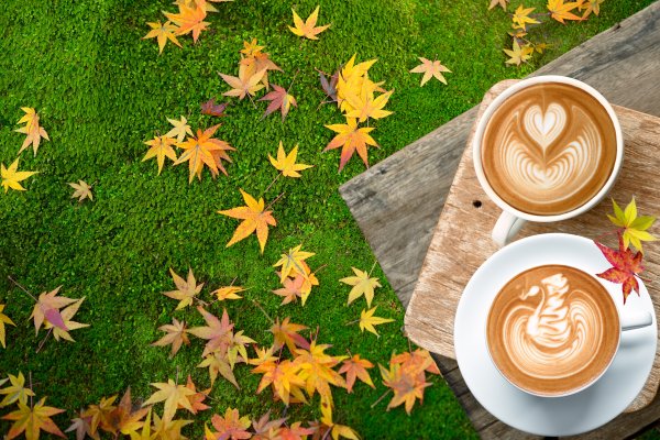 Осень Кружка кофе