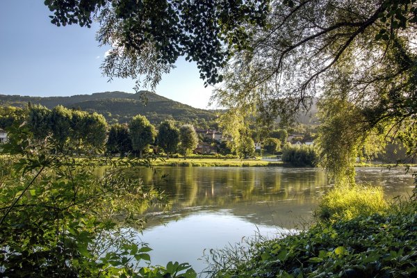 Долина реки Луары