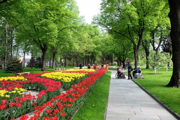 Красивый парк в Москве