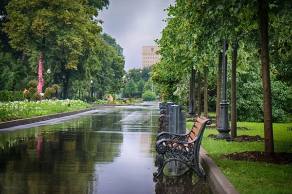 Дождь Москва парк Горького