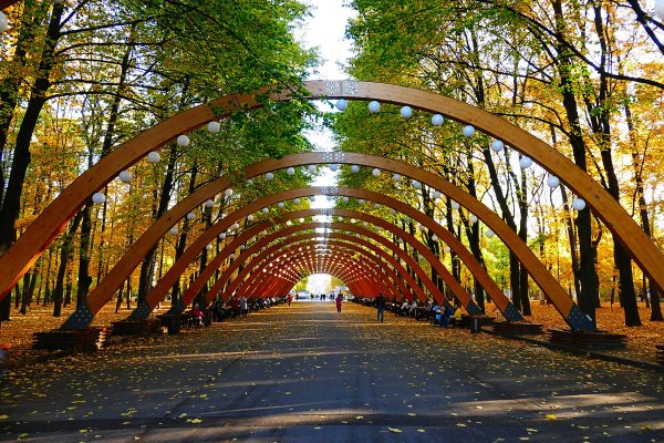 Сокольники Москва парк парк