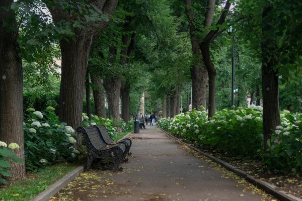 Парк Нескучный сад в Москве